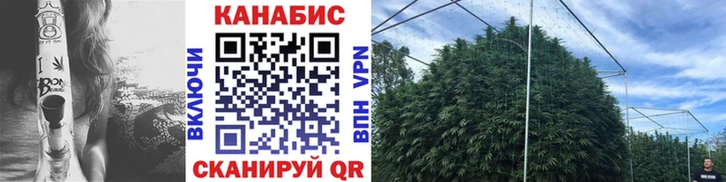 Сколько стоит Шилка A-PVP  COCAIN  Меф  Амфетамин  KRAKEN ССЫЛКА  Марихуана  ГАШИШ 