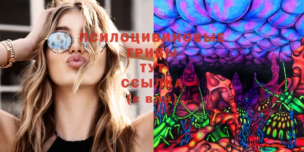 первитин Коряжма