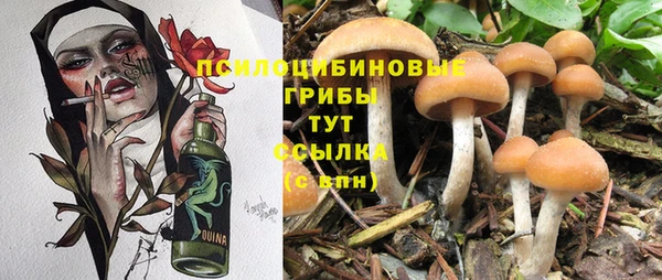jwh Корсаков