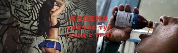 ПСИЛОЦИБИНОВЫЕ ГРИБЫ Костерёво