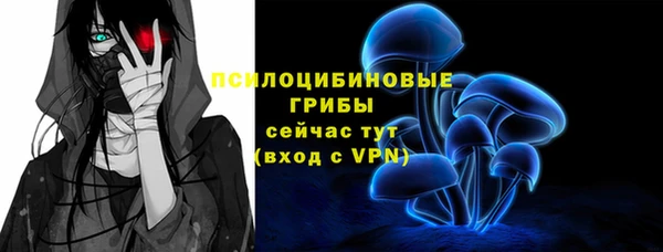 ПСИЛОЦИБИНОВЫЕ ГРИБЫ Костерёво