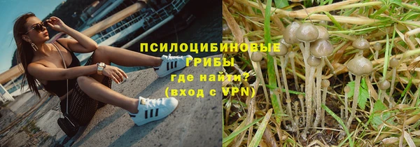 ПСИЛОЦИБИНОВЫЕ ГРИБЫ Костерёво