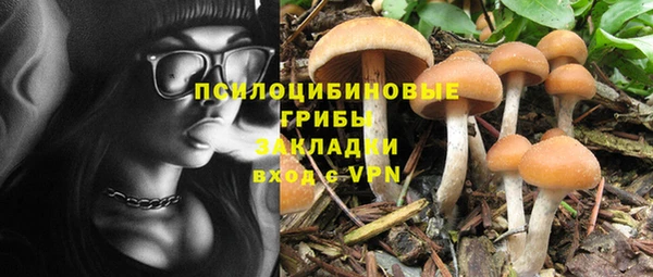 ПСИЛОЦИБИНОВЫЕ ГРИБЫ Костерёво