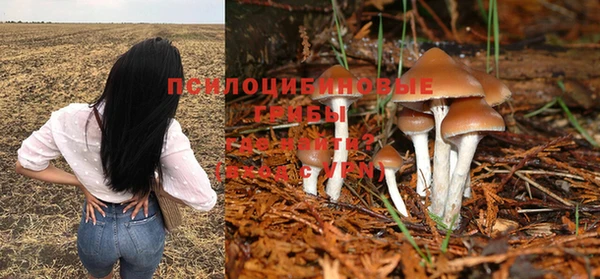 первитин Коряжма