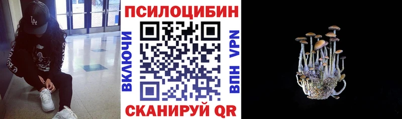 Галлюциногенные грибы мицелий  Шилка 